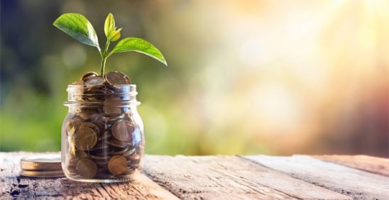 A seedling growing from a jar of coins